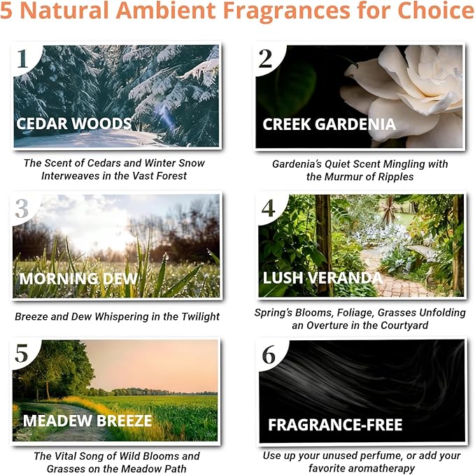 Air Freshener for Closet Hanging Air Freshener Car Aroma Diffuser Pendant Reusable Natural Solid Gypsum Diffuser Closet Freshener Scented Sheet for Cars Wardrobes Drawers (Cedar Woods-001)