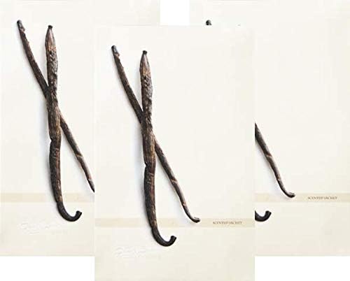 Vanilla Scented Sachets Pack of 3, Everyday - Long-Lasting Scented Bags, Home Fragrance, Air Freshener & Deodorizer for Closet, Room, Drawer, or Cars, Made in USA